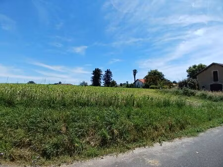 terrain constructible