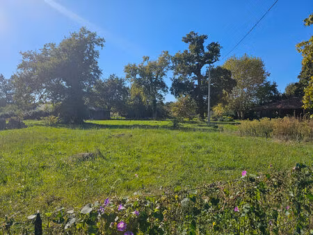 terrain saint michel escalus 1358 m2