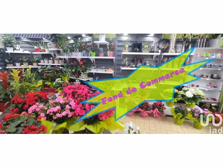 vente locaux professionnels 116 m² à saint-pierre-d'albigny (73250)  55 000 €