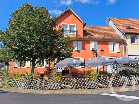 immeuble à vendre - 500 m2 - sparsbach - 67 - alsace
