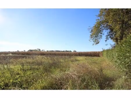 terrain uzein m² t- à vendre  90 000 €