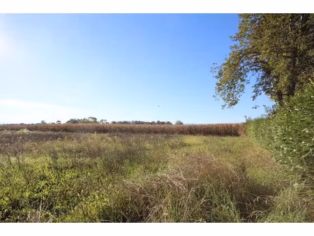 vente terrain à batir 1528 m² à uzein (64230)  90 000 €