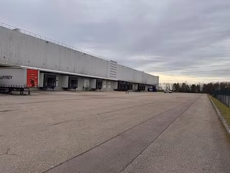 location entrepôt / local d'activités savigny sur clairis 19 090 m²