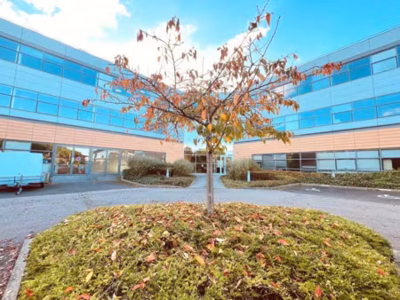 a louer - bureaux - parc arboré