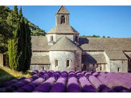 vente appartement 2 pièces 45 m² gordes (84220)