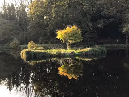 vente maison 5 pièces 133 m² à plestin-les-greves (22310)  810 000 €