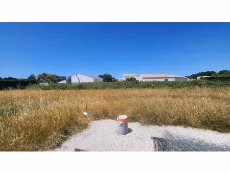 vente terrain 384 m² à vaux-sur-mer (17640)  175 000 €