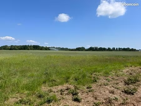 terrain 1202 m² trevol