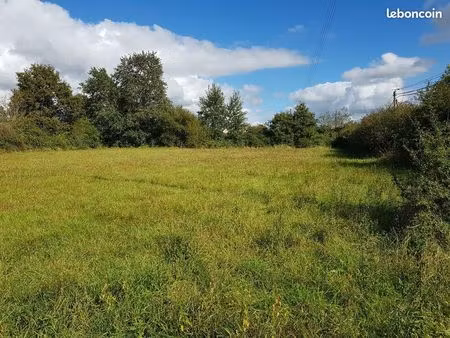 terrain constructible