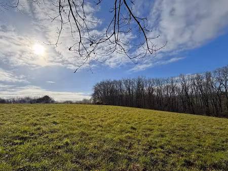 vente terrain à batir 3855 m² à tarbes (65000)  45 000 €