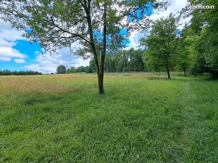 terrain constructible : 8600m2 - ambrus 47160