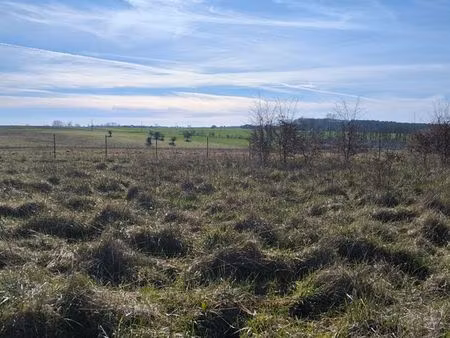 terrain constructible chambourg 1174 m²
