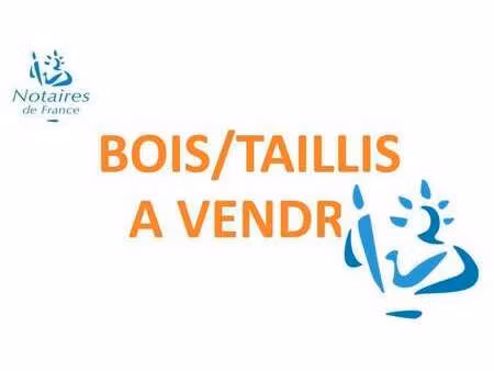 vente terrain à mortagne-au-perche (61400) : à vendre / 7600m² mortagne-au-perche