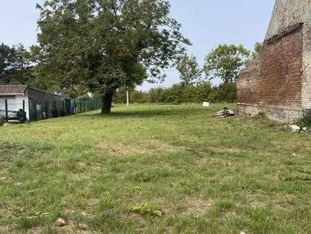 terrain 438 m² busnes