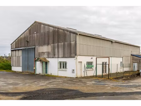 local commercial + entrepôt