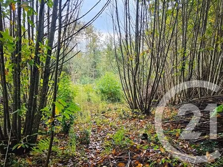 terrain à vendre - 3405 m2 - carlux - 24 - aquitaine