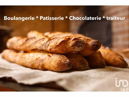 vente locaux professionnels 145 m² à janzé (35150)  379 000 €