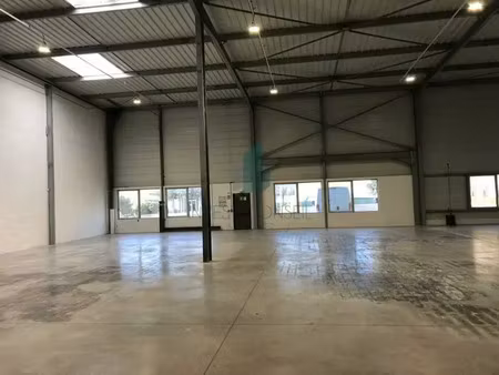 local d'activite a louer