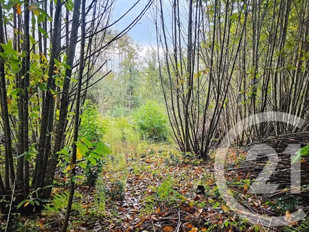 vente terrain à batir 3405 m² à carlux (24370)  35 000 €