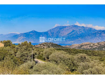 maison t7 santo-pietro-di-tenda à vendre