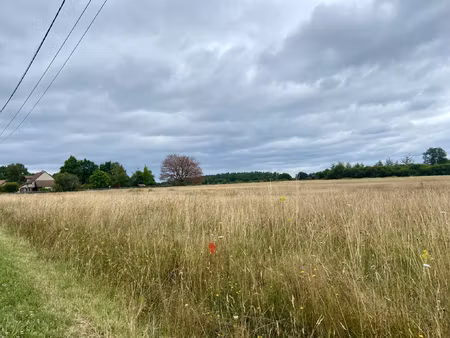 terrain constructible