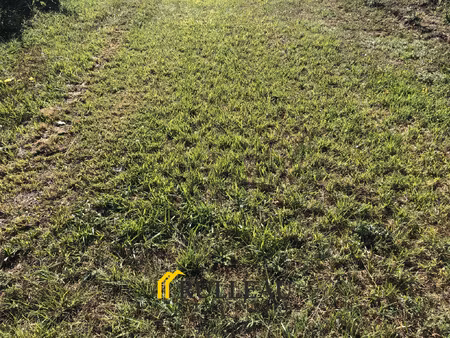 blayais: terrain à bâtir de 1 8 ha