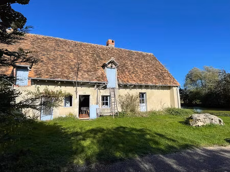 vente maison 3 pièces 93 m² bonny-sur-loire (45420)