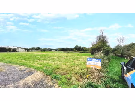 vente terrain archigny (86210)