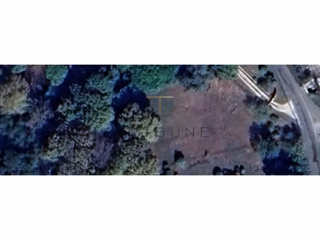 terrain à bâtir de 3300 m2 sur 8 000 m2 de parcelle boisée