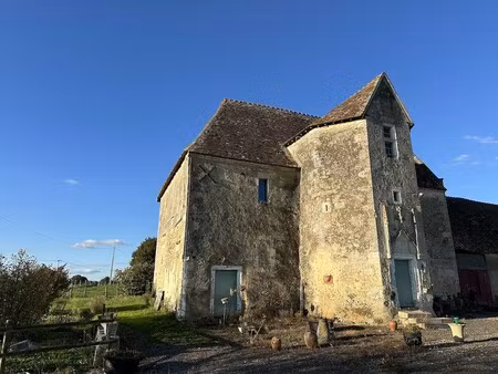 château à vendre à la la perrière