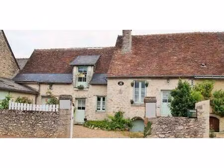 chambre d'hôte avec terrasse bléré (37)