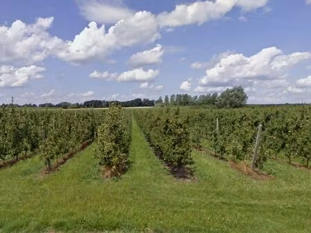 terrain à vendre à bunsbeek € 87.000 (kybj3) - bigsand | zimmo