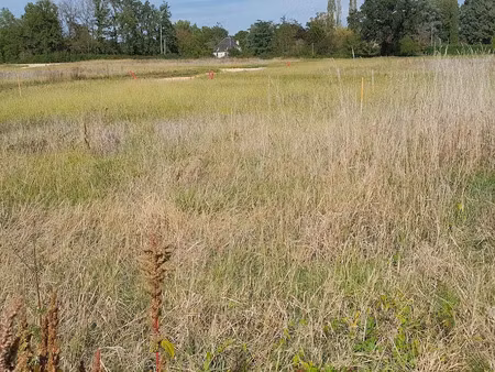 vente terrain 600 m² à talais (33590)  64 000 €