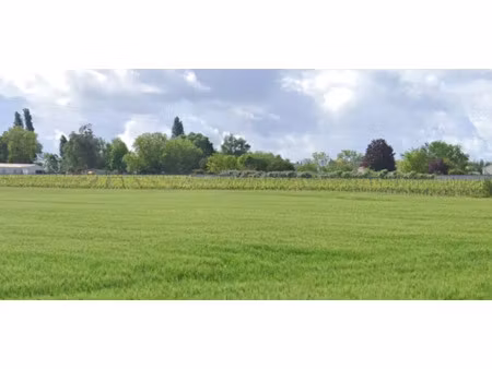 vente terrain 610 m² à grézac (17120)  79 000 €