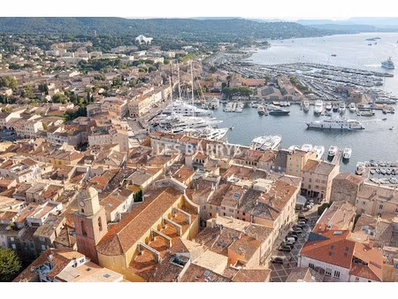 vente locaux professionnels 0 pièces 55 m² à saint-tropez (83990)  380 000 €