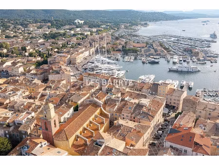 vente locaux professionnels 55 m² à saint-tropez (83990)  380 000 €