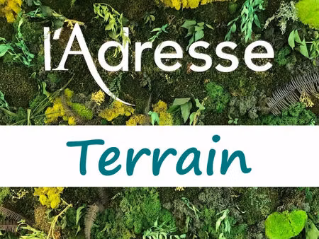 vente terrain  7027.00m²  cars