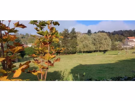 vente terrain 2992 m² à troisfontaines (57870)  75 000 €