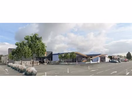 vente local d'activités mauleon 64 m²