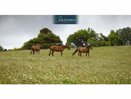 ancienne bergerie à réhabiliter sur 5 hectares de terrain