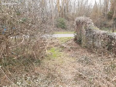 terrain à louer – bail emphytéotique 18 ans – palaminy