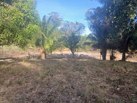 terrain agricole- carapa-10004 m2