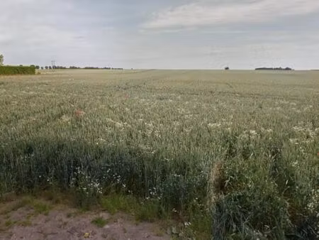 terrain 568 m² saint etienne sur suippe