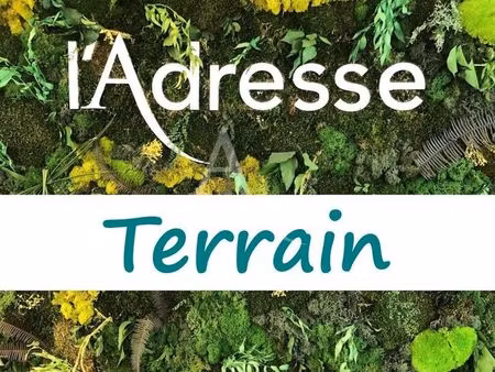 terrain 7027 m² cars