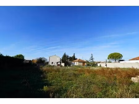 vente terrain 445 m² monteux (84170)