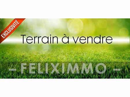 terrain constructible