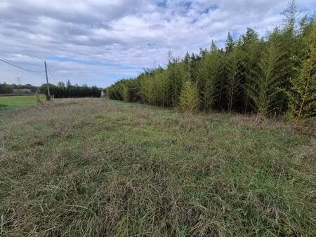 grand terrain viabilisé 1248 m² garidech