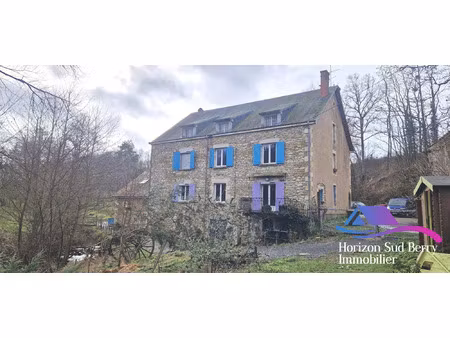 vente maison 11 pièces 426 m² saint-jeanvrin (18370)