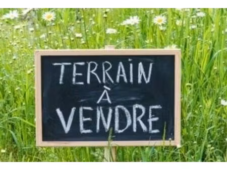 terrain constructible