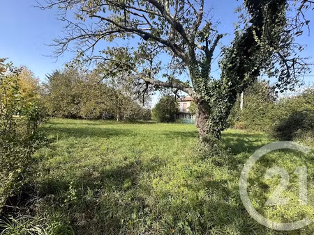 vente terrain à batir 1223 m² à saint-jean-du-falga (09100)  88 000 €